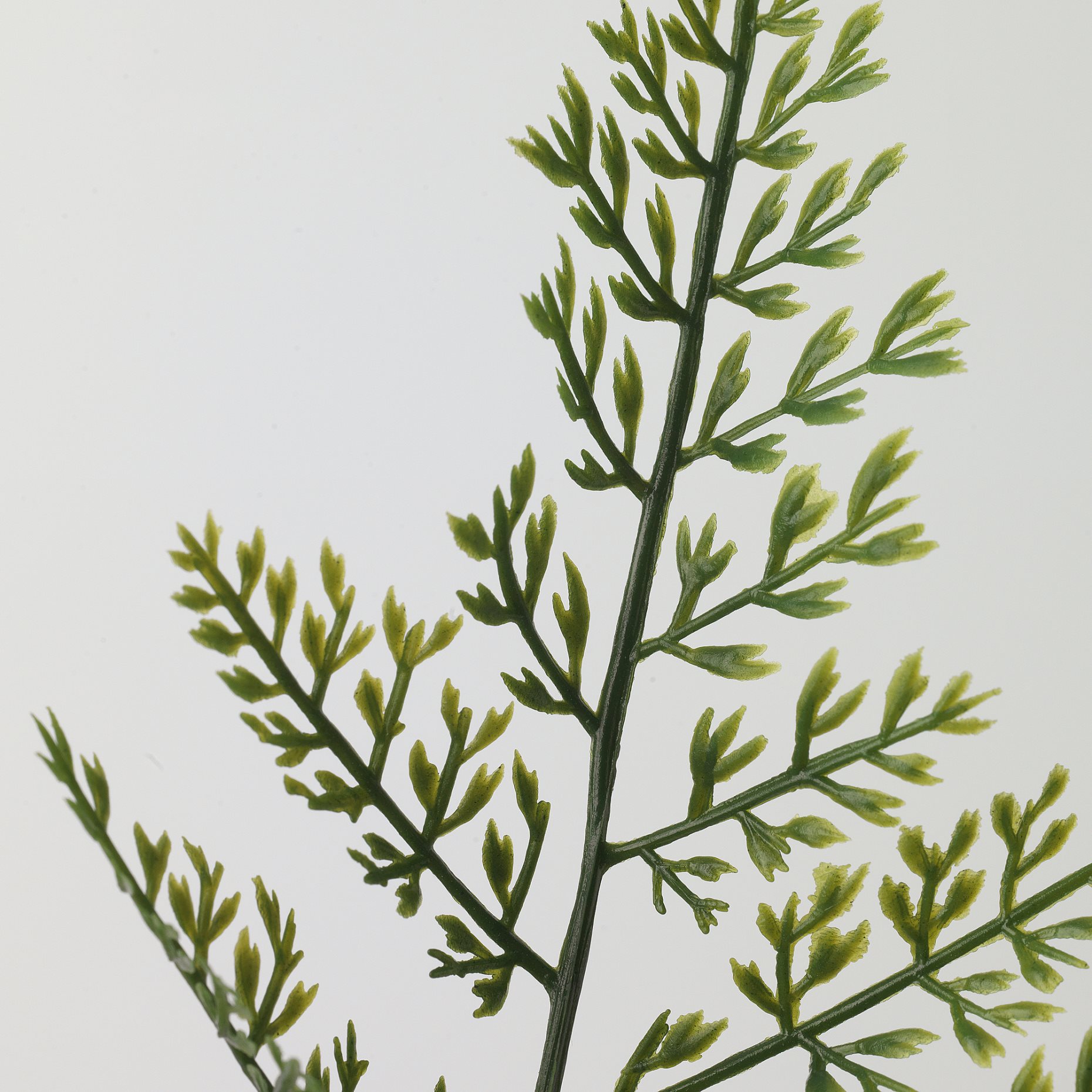 SMYCKA, artificial leaf in/outdoor/Fern, 53 cm, 205.629.28