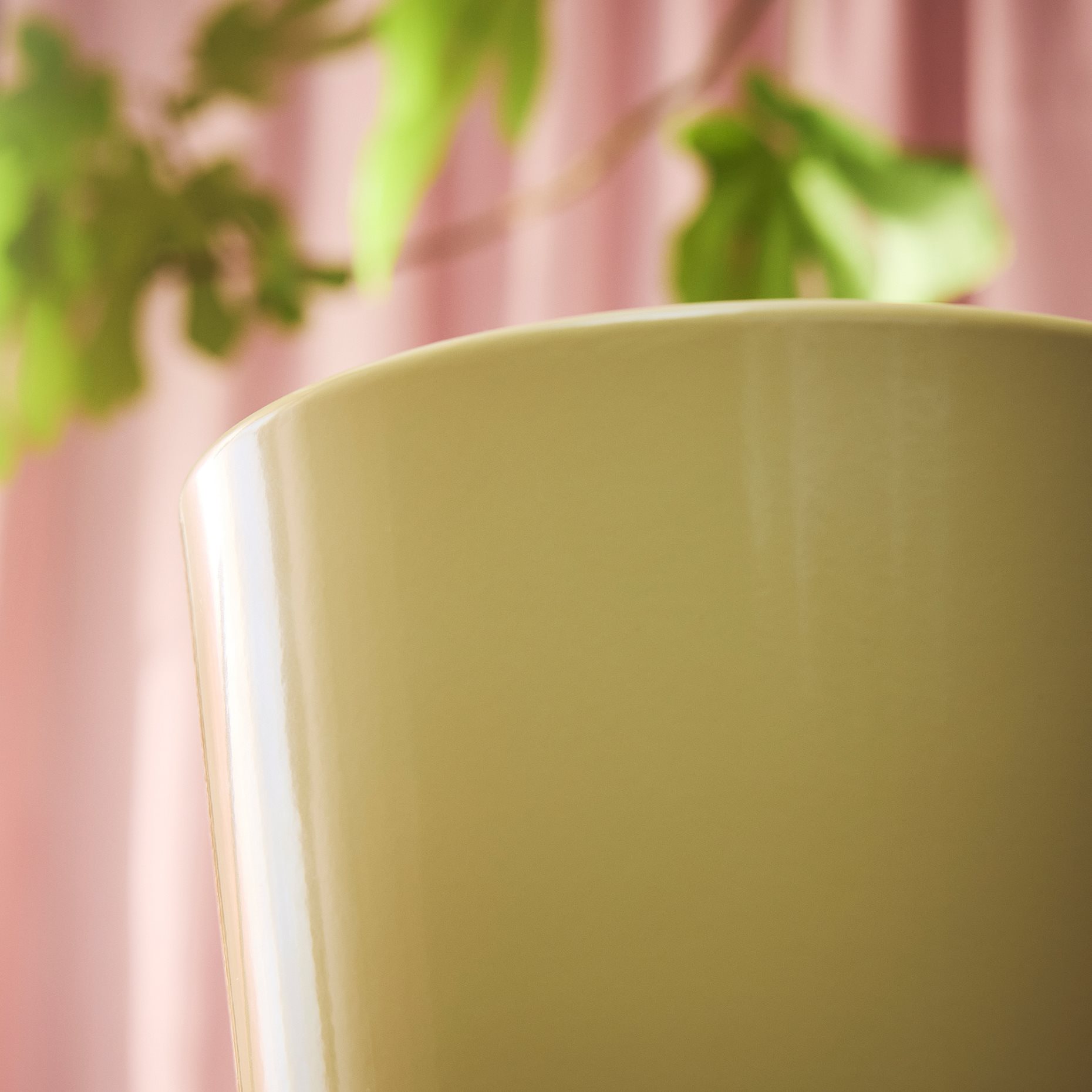 SOJABÖNA, plant pot, 15 cm, 206.119.43