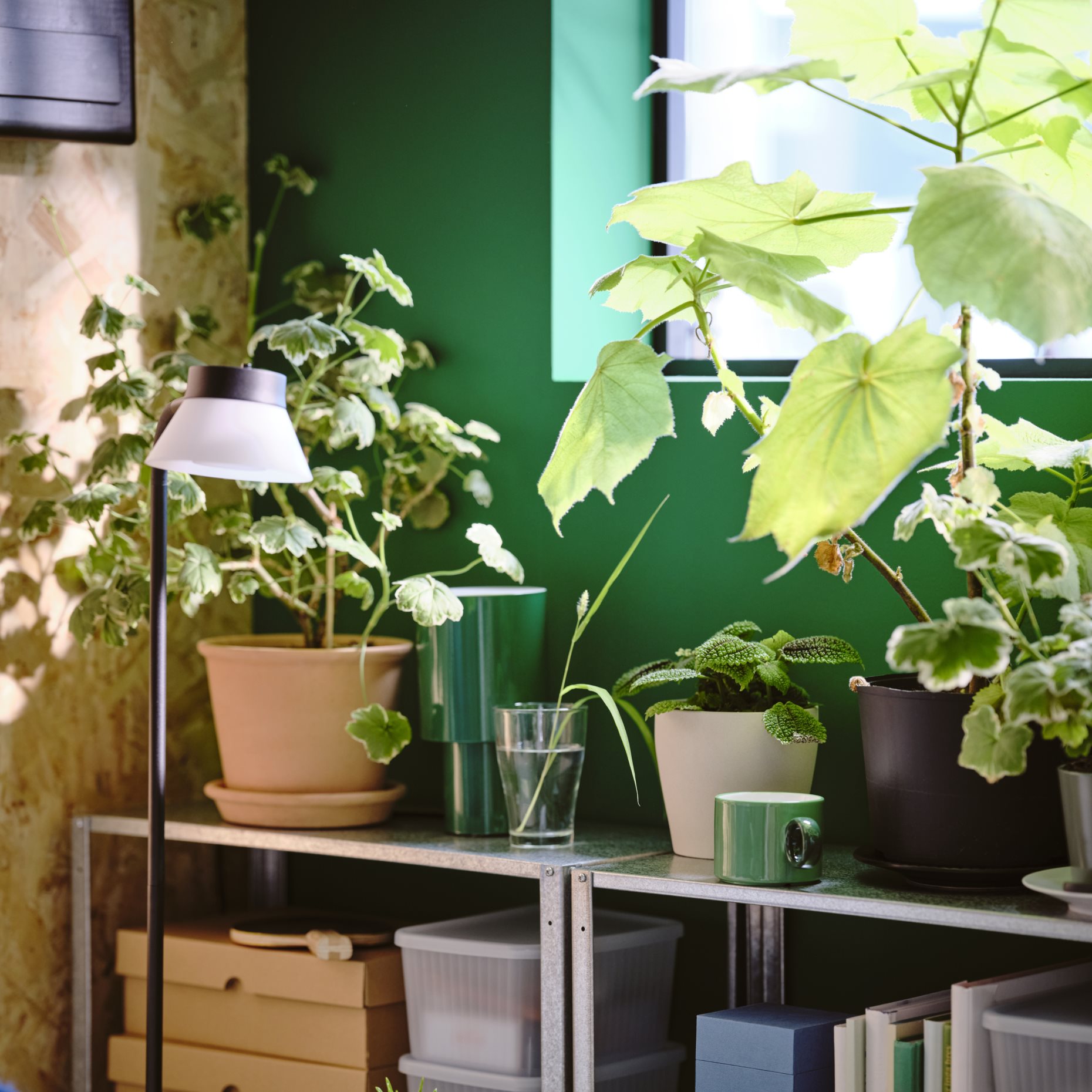 HYLLIS, shelving unit in/outdoor, 304.283.26
