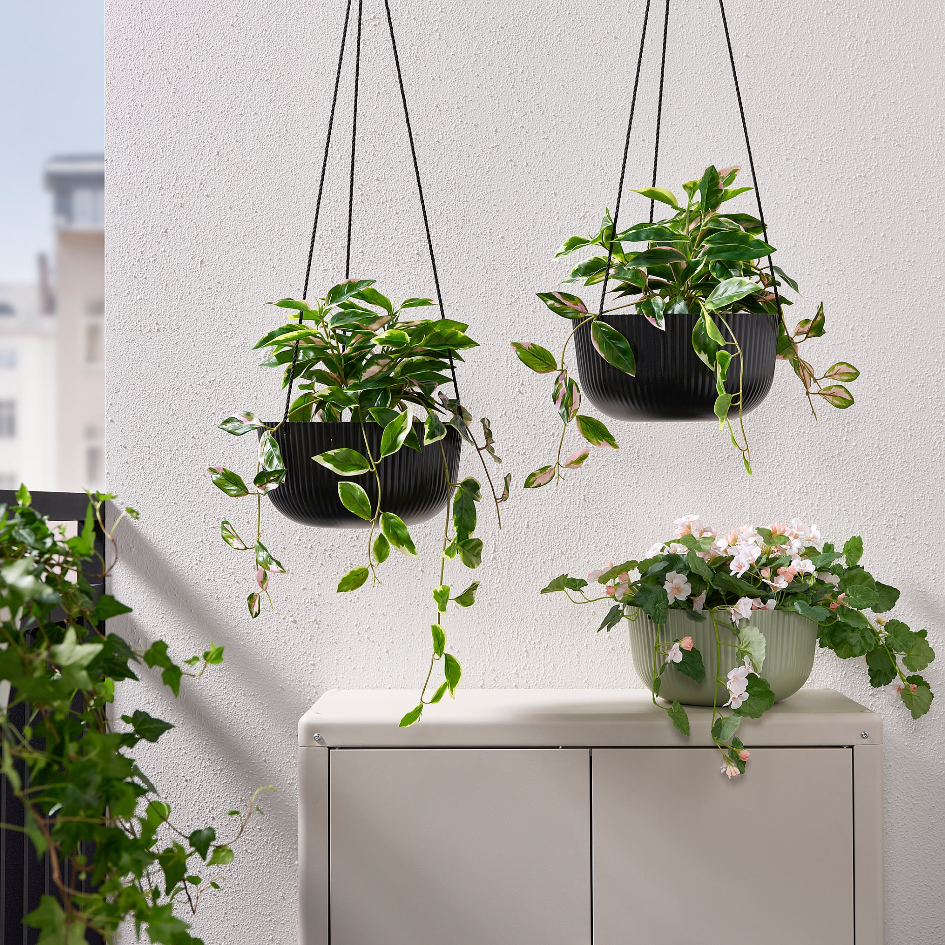 ÄPPELROS, hanging planter/in/outdoor, 27 cm, 305.359.82