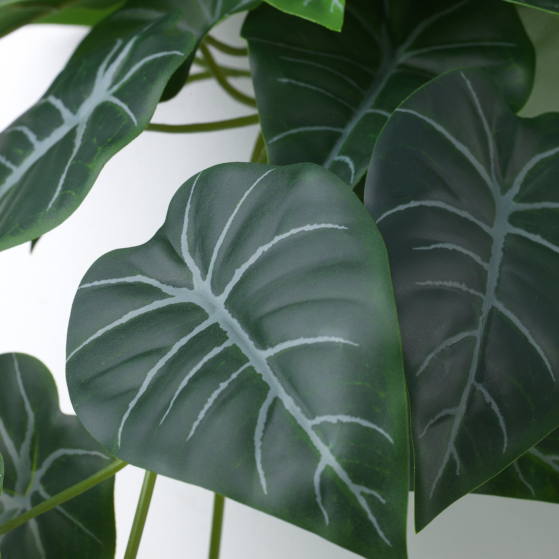 FEJKA, τεχνητό φυτό με βάση τοίχου/εσωτερικού/εξωτερικού χώρου, 305.486.25