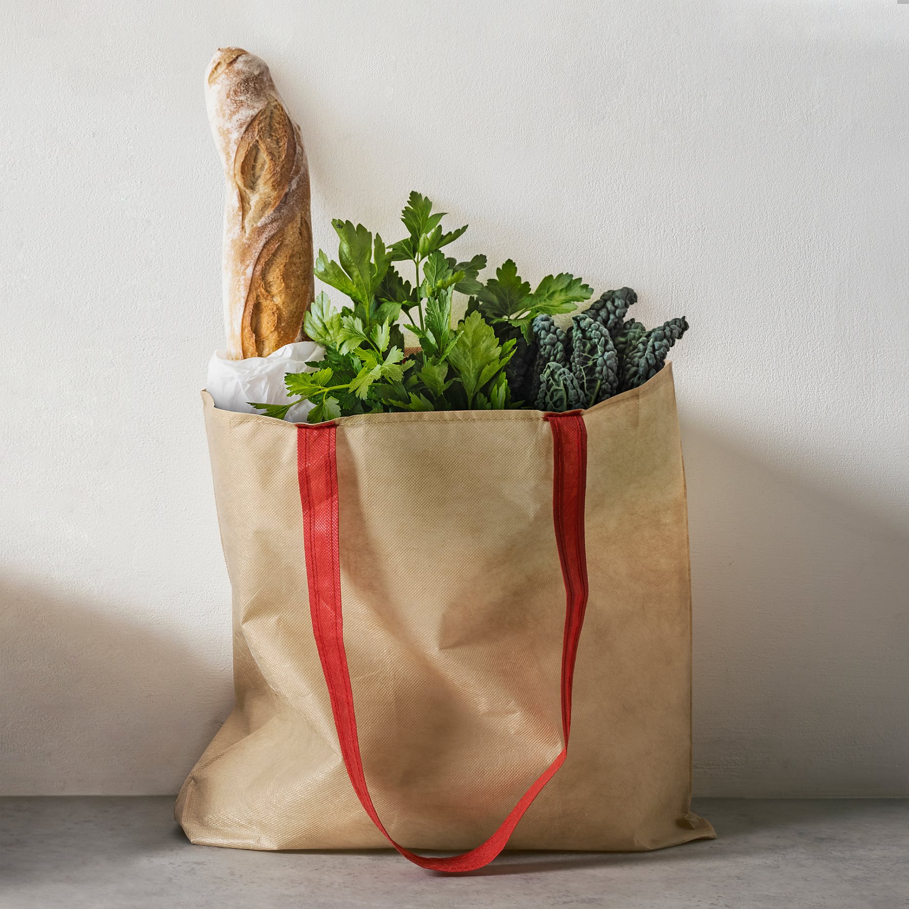 PLANTERING, carrier bag, 45x36 cm, 305.635.93