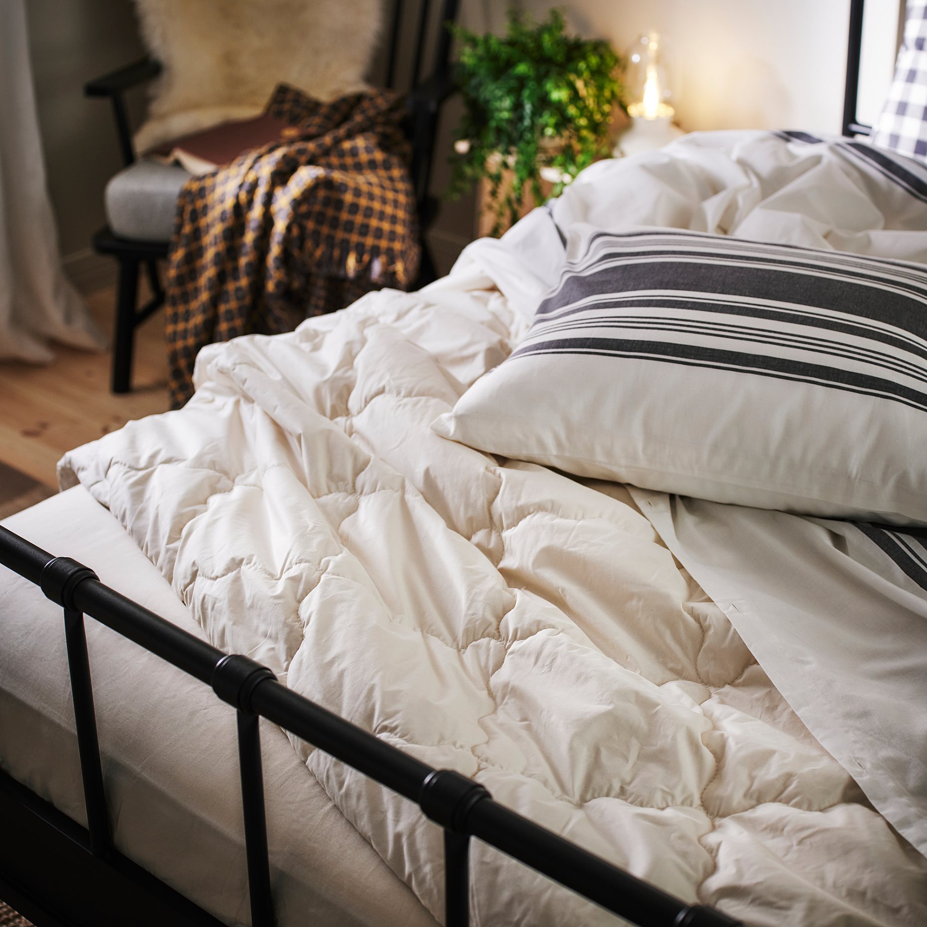 JÄTTEFRÄKEN, duvet cover and pillowcase, 150x200/50x60 cm, 306.121.45