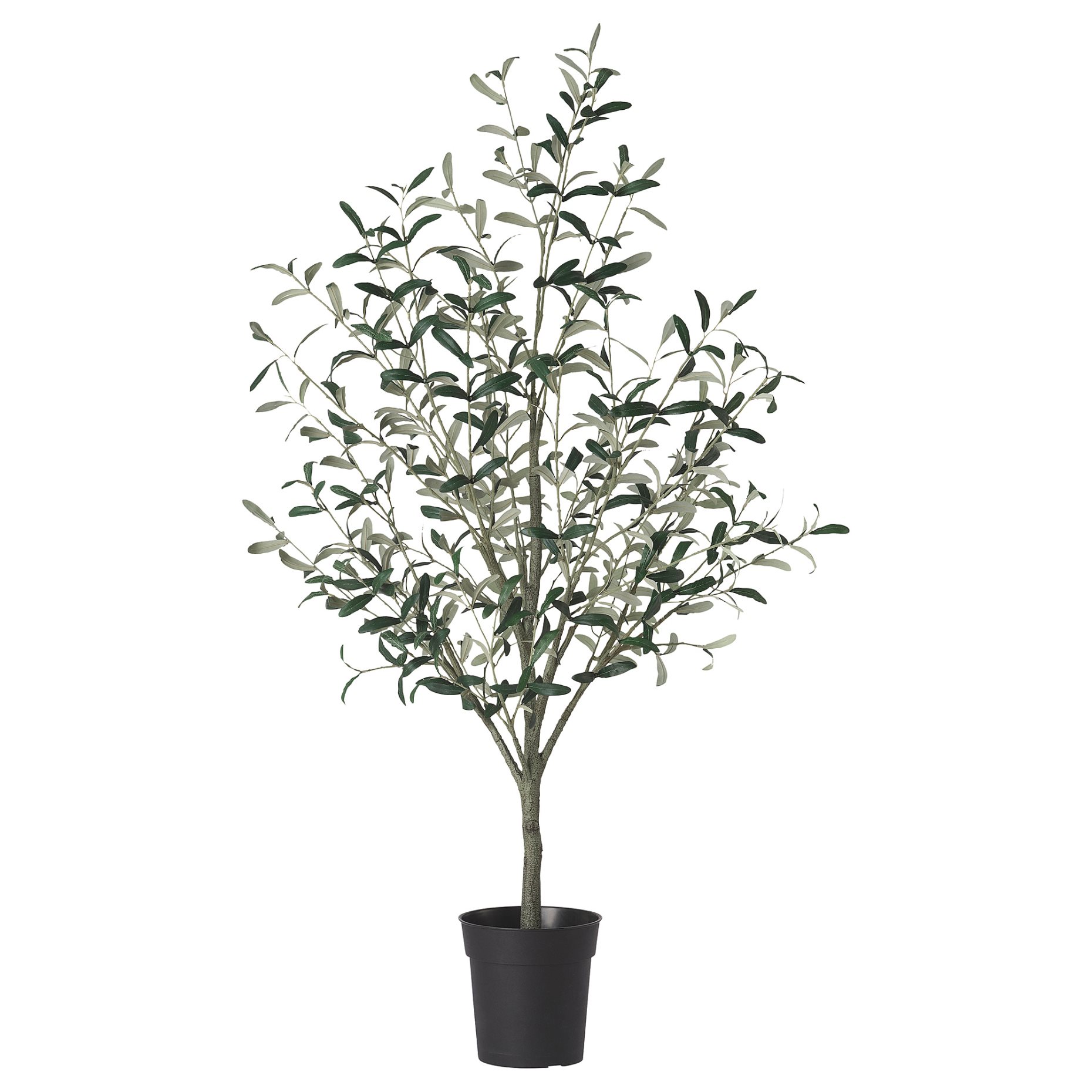 FEJKA, artificial potted plant in/outdoor/Olive tree, 19 cm, 405.968.85