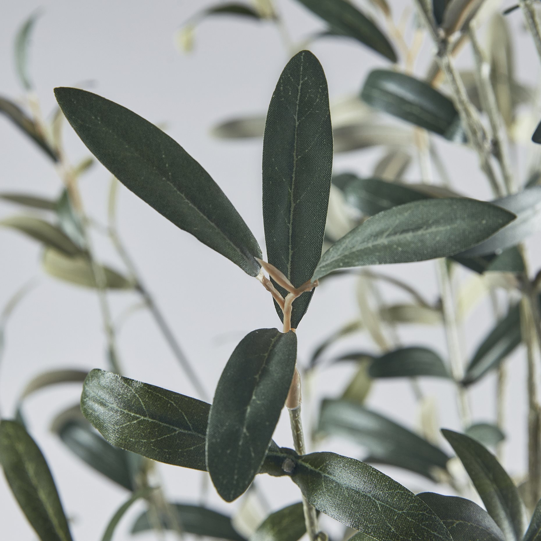 FEJKA, artificial potted plant in/outdoor/Olive tree, 19 cm, 405.968.85