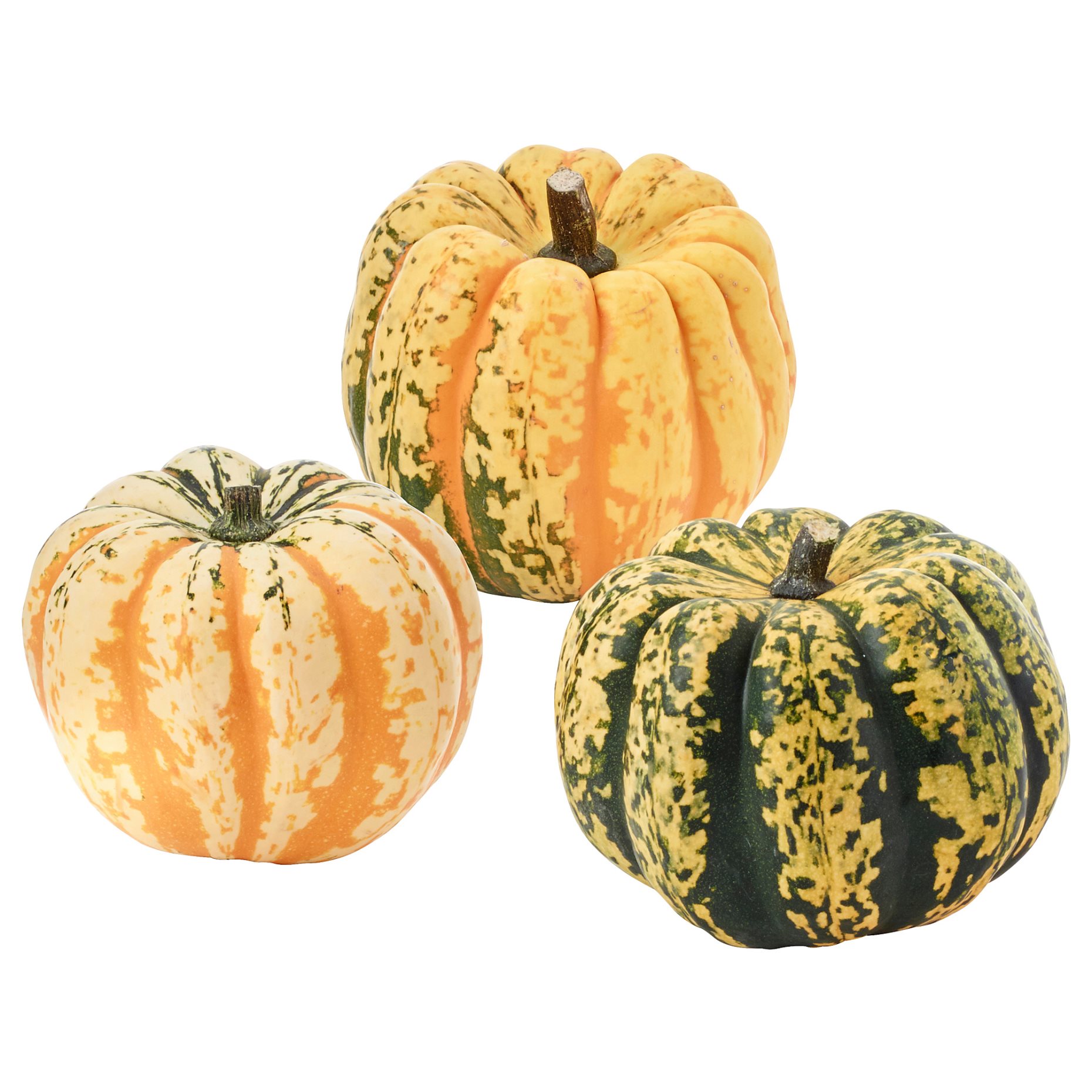 CUCURBITA, decoration pumpkin, 406.041.35
