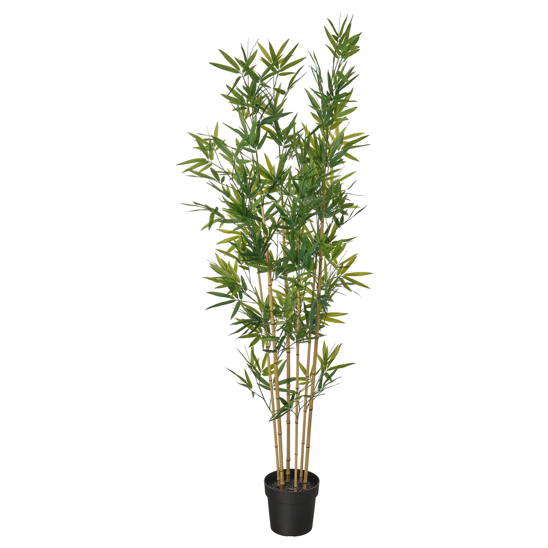 FEJKA, artificial potted plant in/outdoor/bamboo, 21 cm, 406.106.07