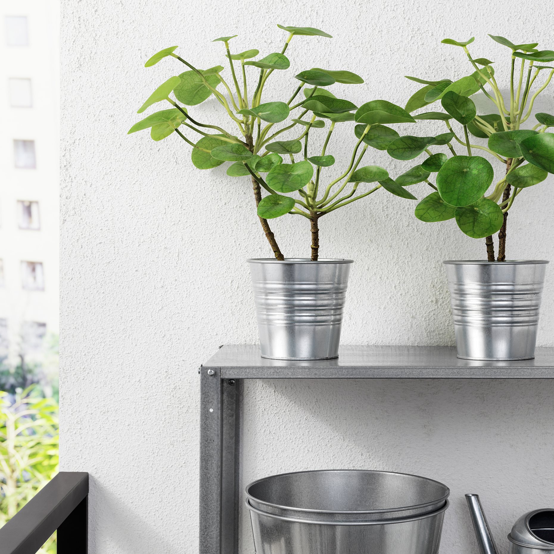 FEJKA, artificial potted plant in/outdoor/Pilea, 12 cm, 503.953.15