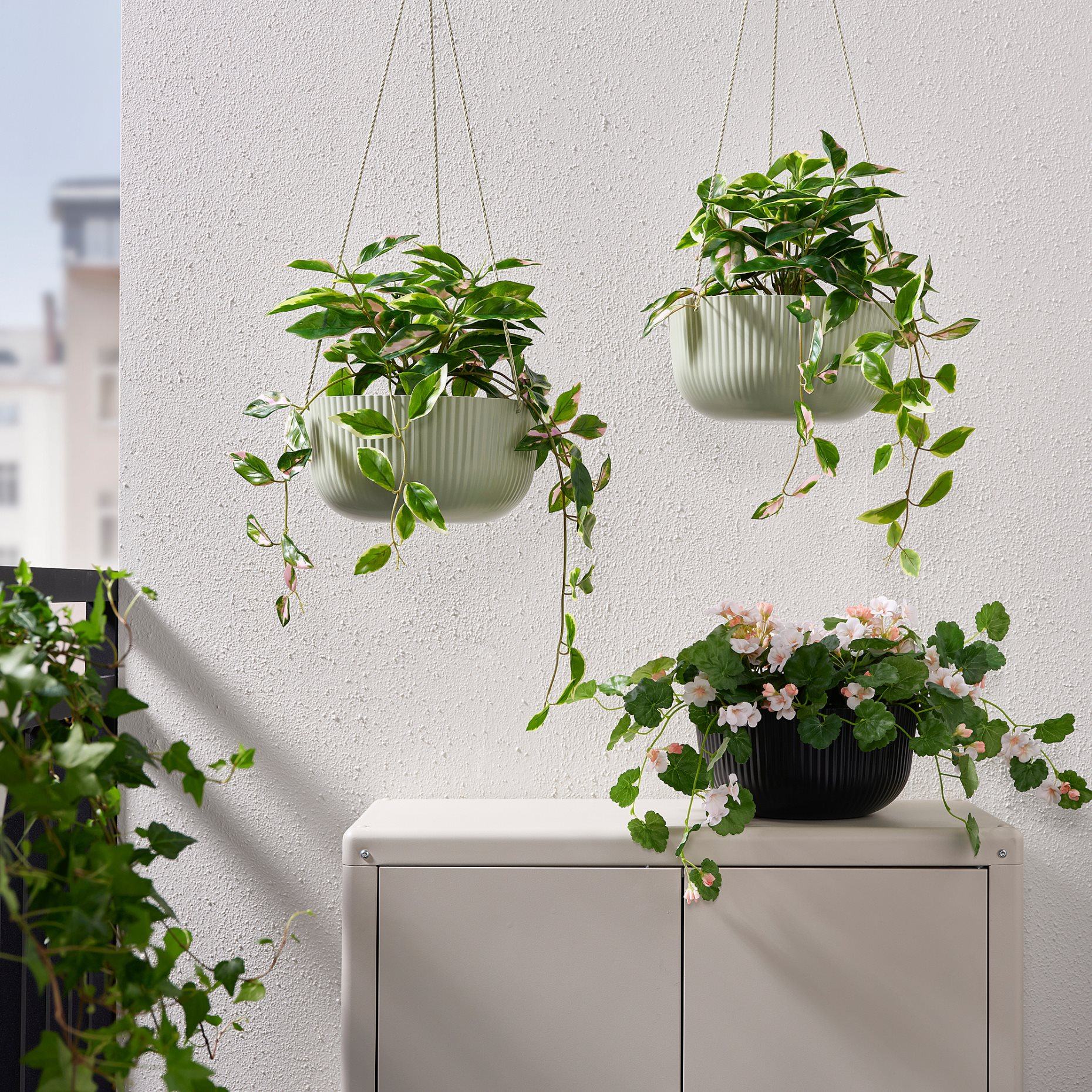 ÄPPELROS, hanging planter/in/outdoor, 27 cm, 505.359.81
