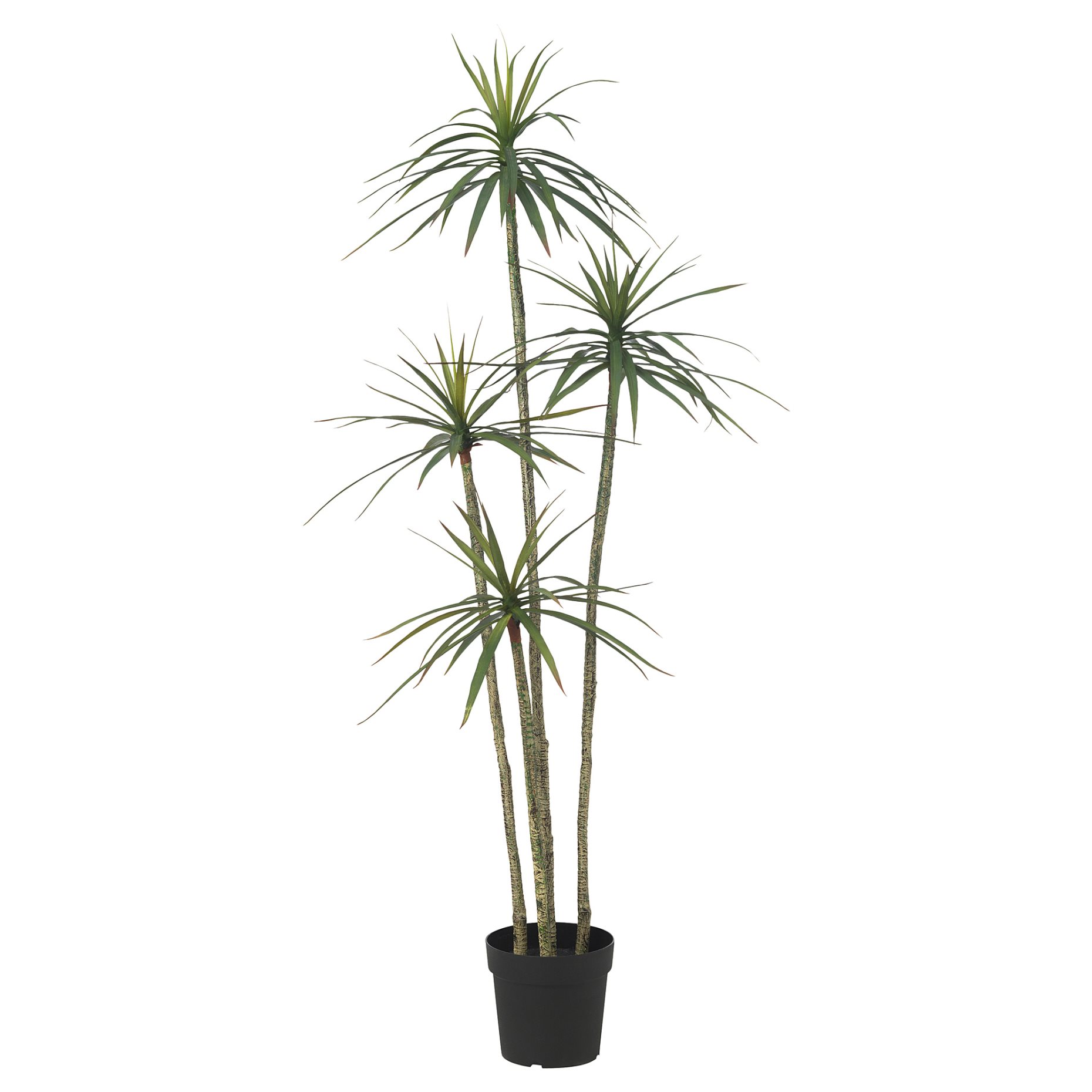 FEJKA, artificial potted plant/in/outdoor/Dracena, 23 cm, 505.486.34