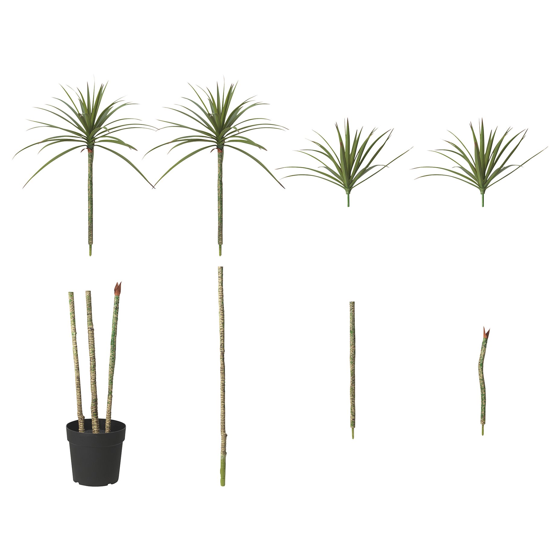 FEJKA, artificial potted plant/in/outdoor/Dracena, 23 cm, 505.486.34