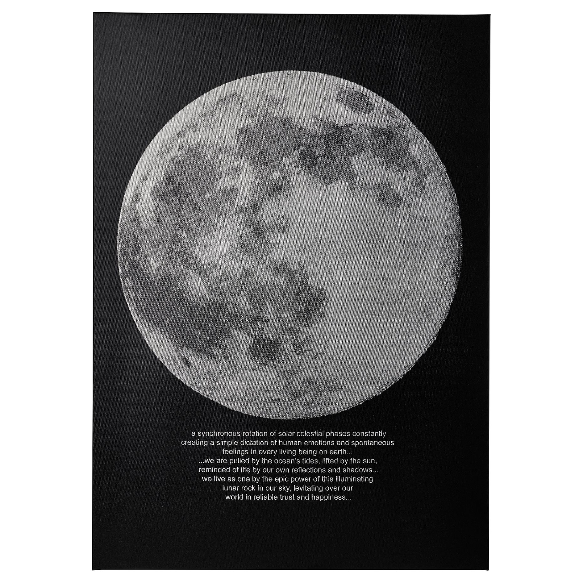 PJÄTTERYD, picture/moonlight, 50x70 cm, 505.545.02