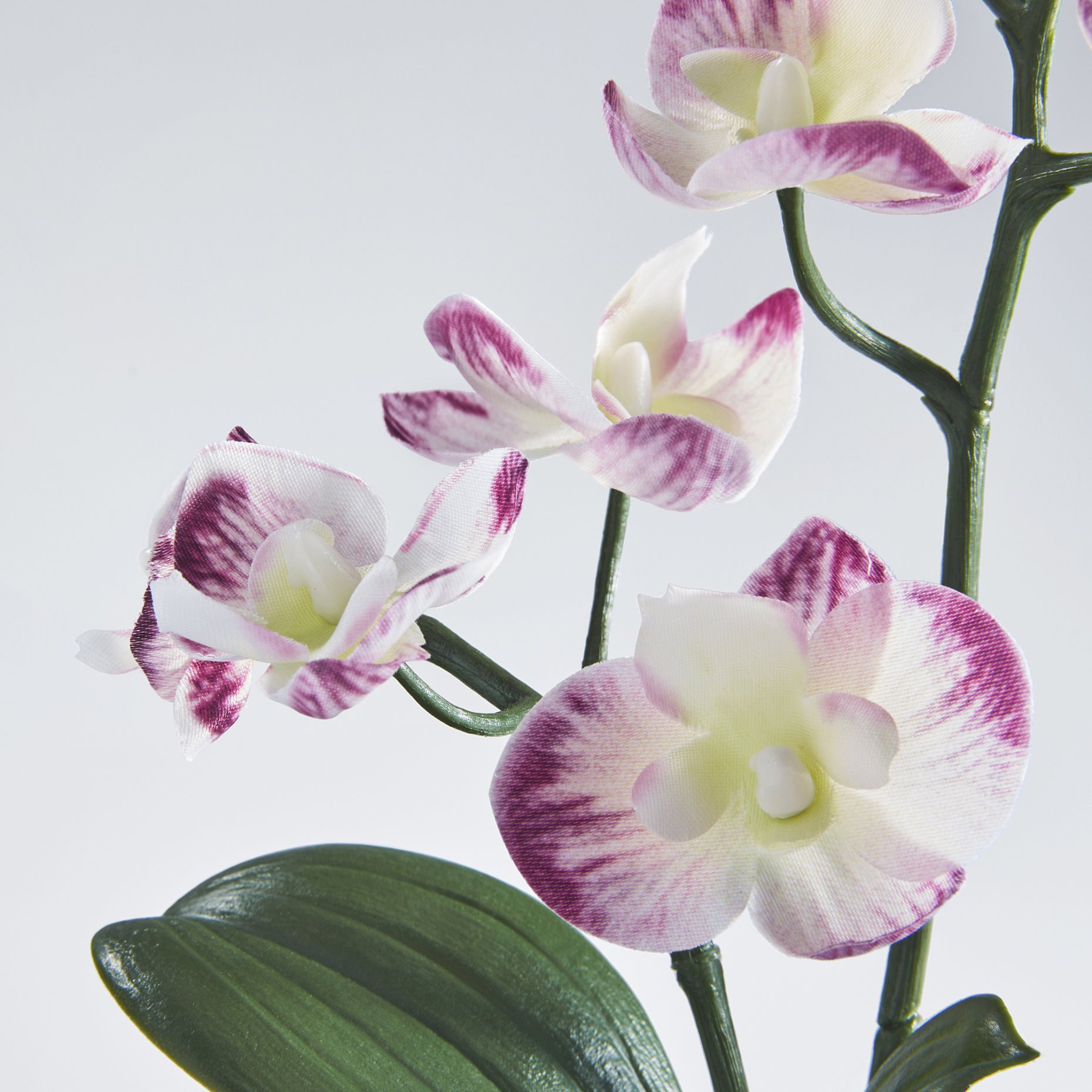 FEJKA, artificial potted plant in/outdoor/Orchid, 9 cm, 505.932.16