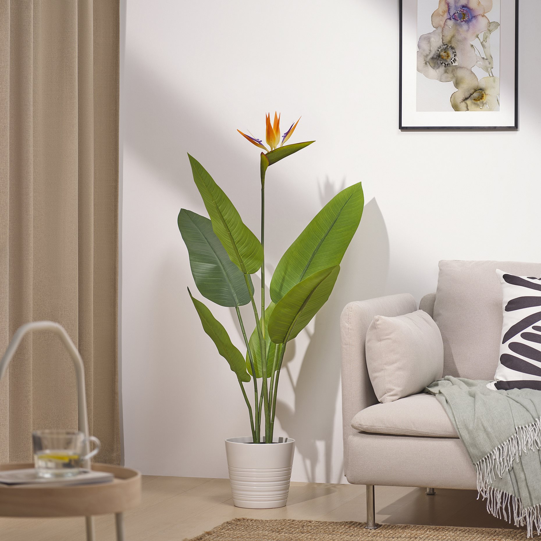 FEJKA, artificial potted plant in/outdoor/Bird of paradise, 19 cm, 505.932.35