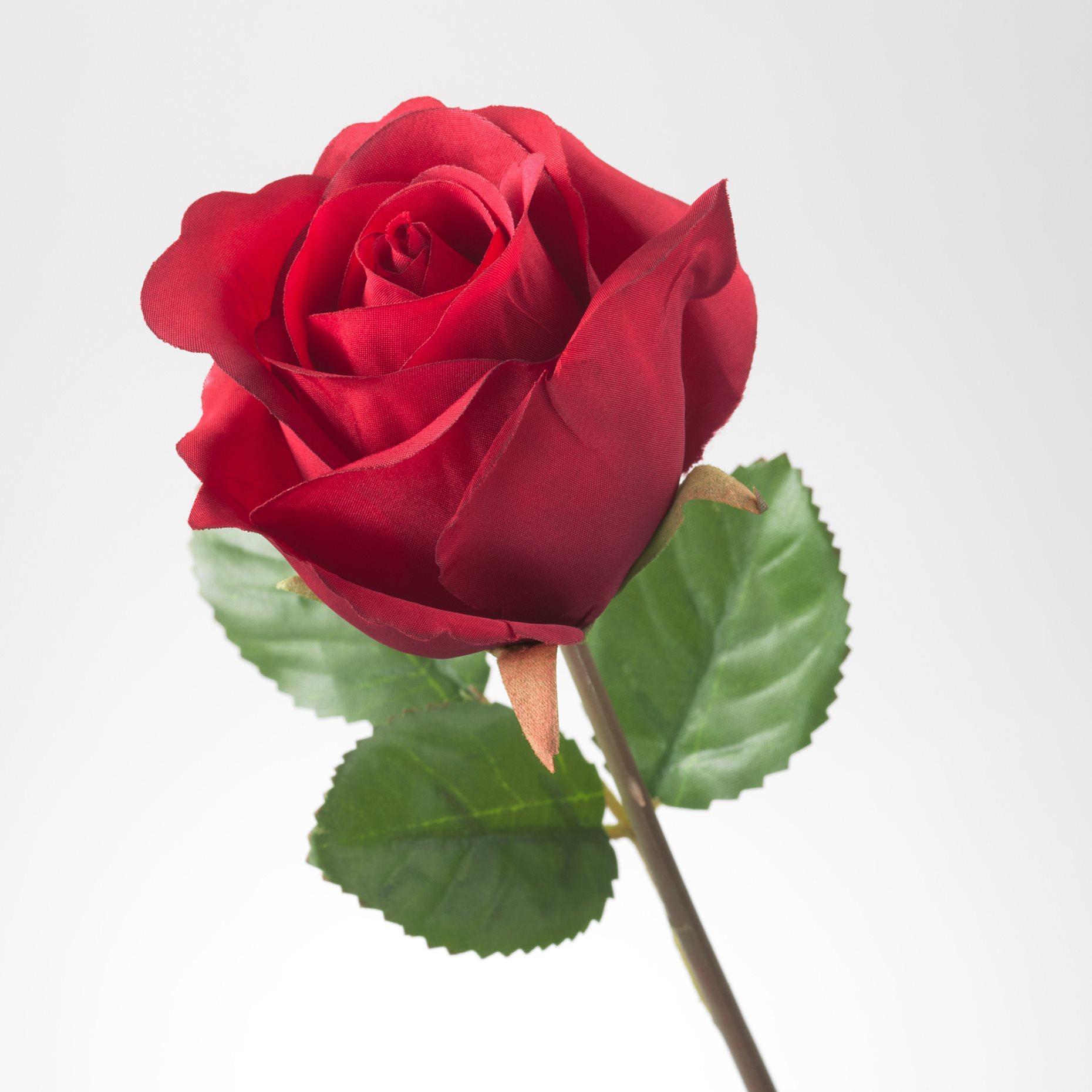 SMYCKA, τεχνητό λουλούδι, Τριαντάφυλλο, 603.335.86