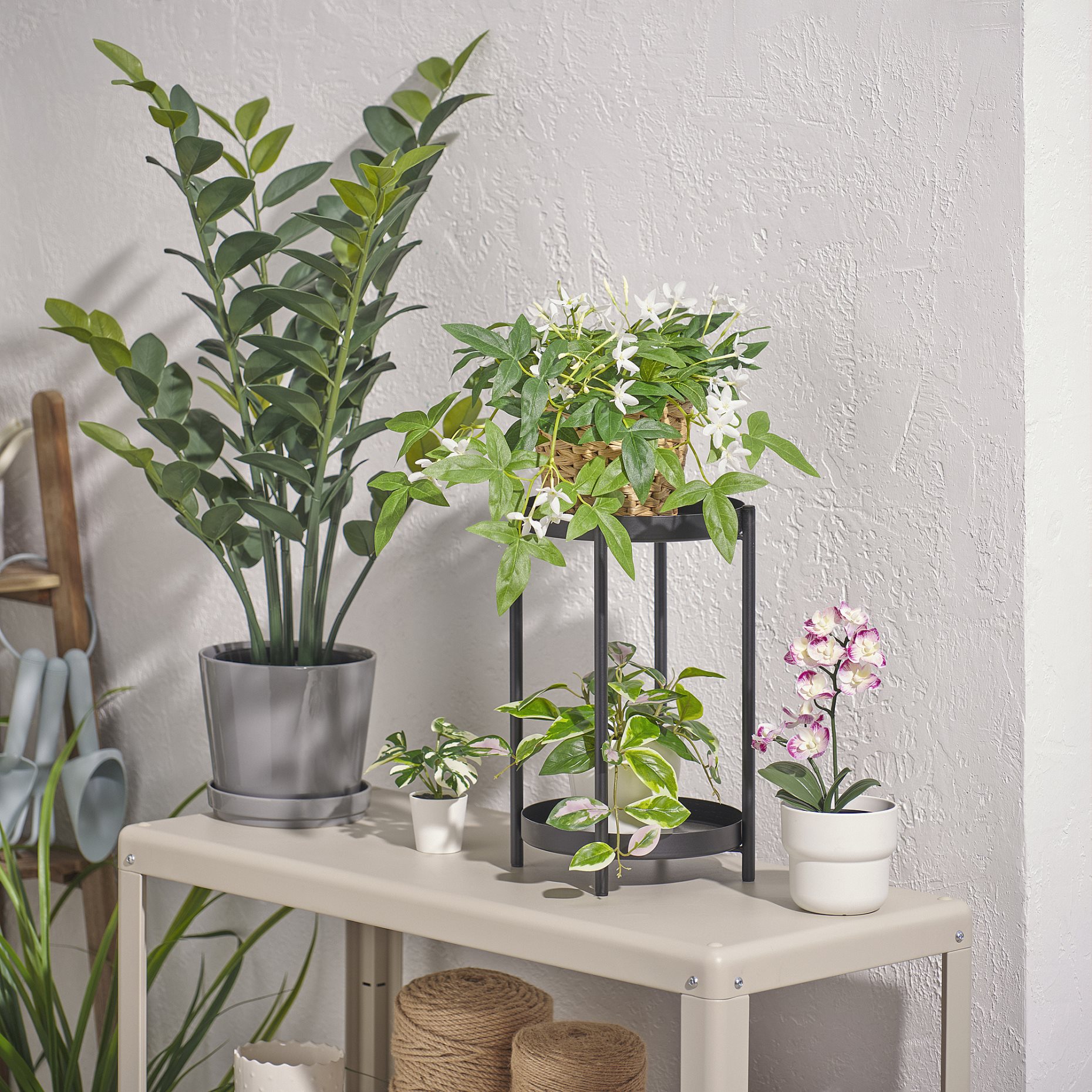 FEJKA, artificial potted plant in/outdoor/hanging/Jasmine, 12 cm, 605.932.25
