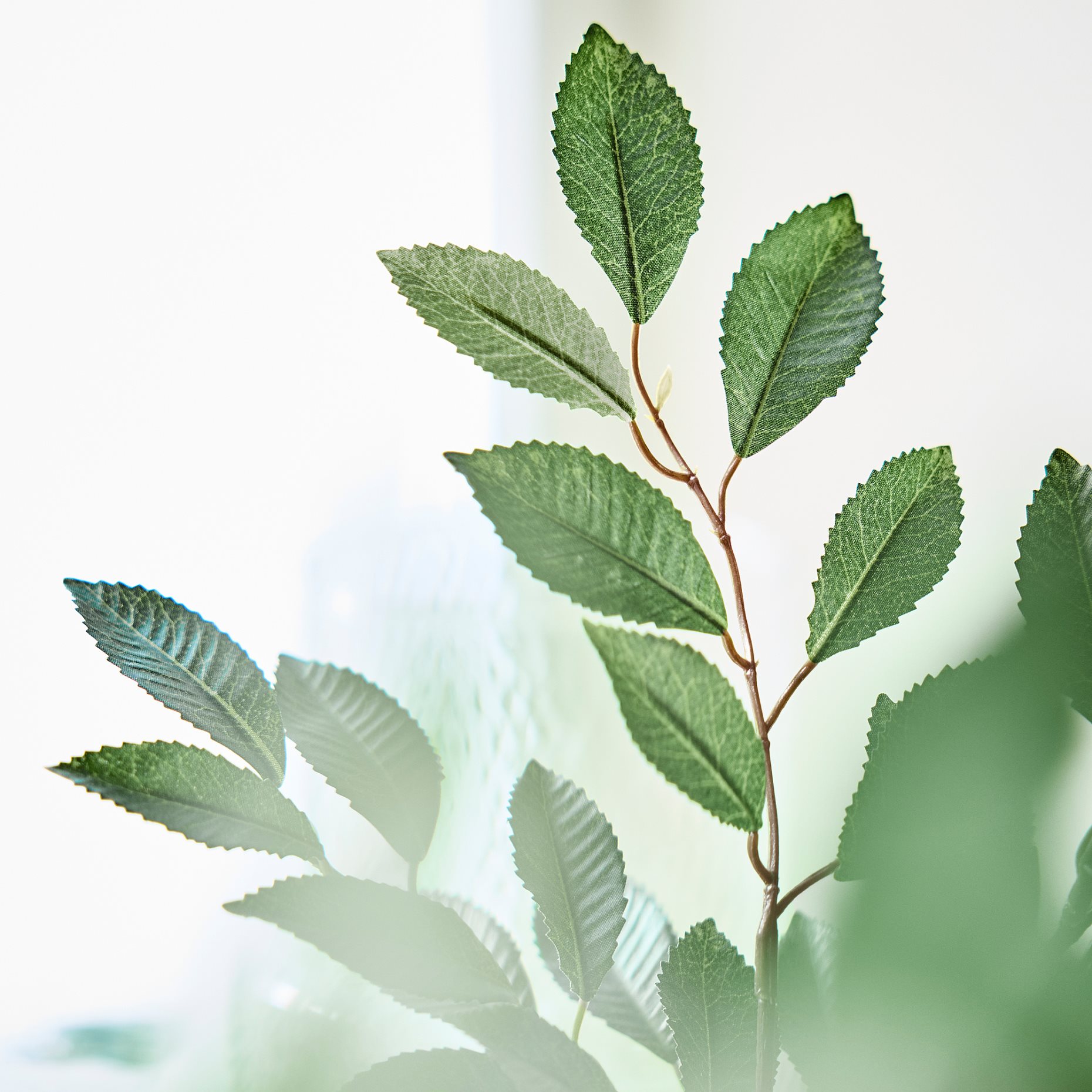 SMYCKA, τεχνητό λουλούδι εσωτ./εξωτ. χώρου/κλαδί με φύλλα, 67 cm, 606.059.78