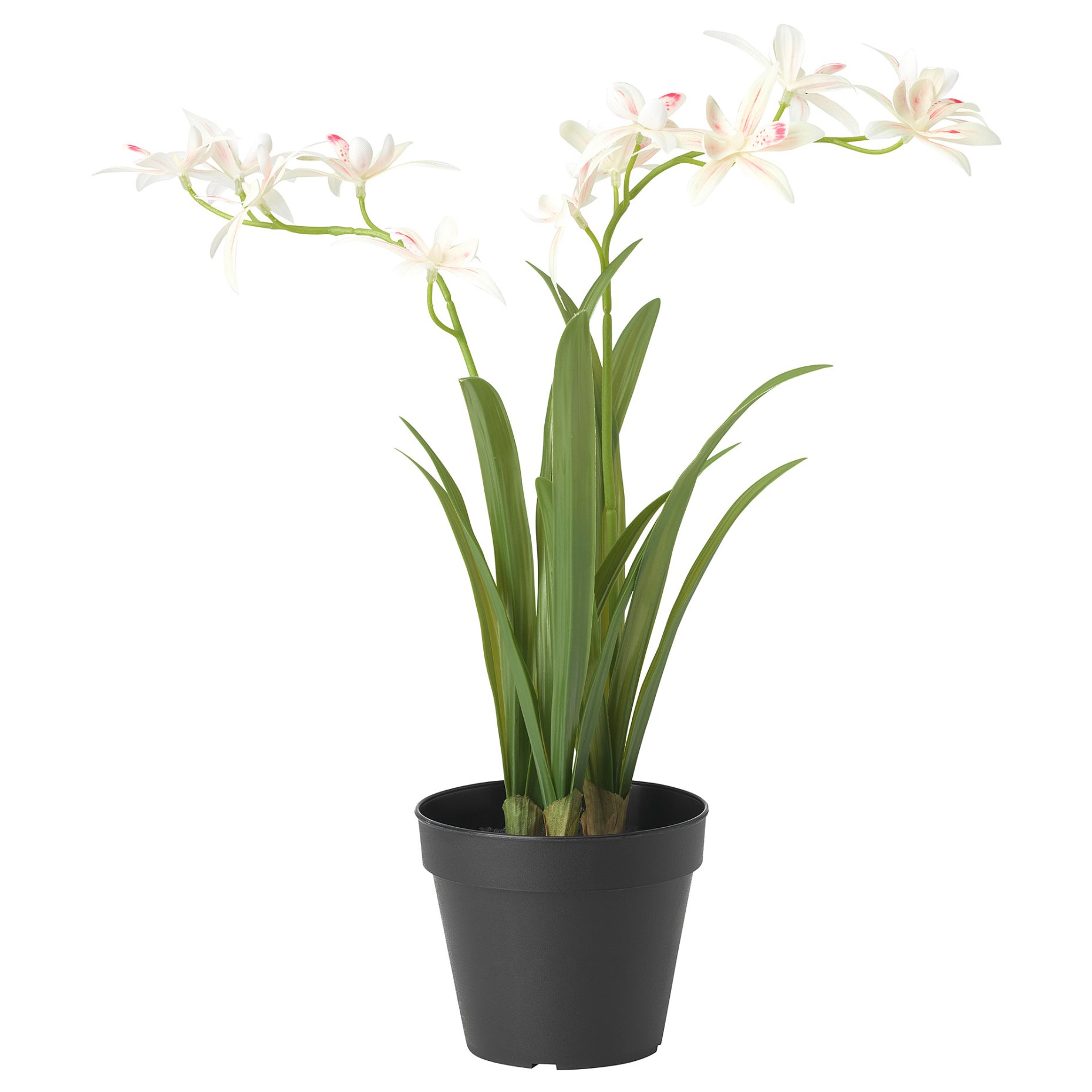 FEJKA, artificial potted plant/Orchid, 12 cm, 705.483.03