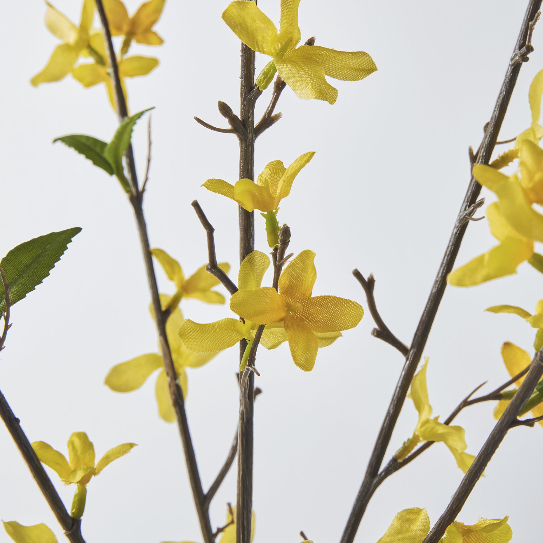 SMYCKA, artificial spray in/outdoor/forsythia, 70 cm, 706.133.41