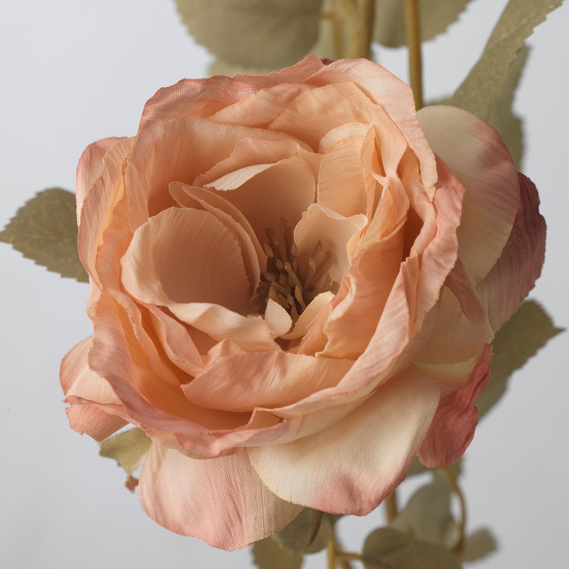 SMYCKA, τεχνητό λουλούδι εσωτερικού/εξωτερικού χώρου/Τριαντάφυλλο, 63 cm, 805.601.20