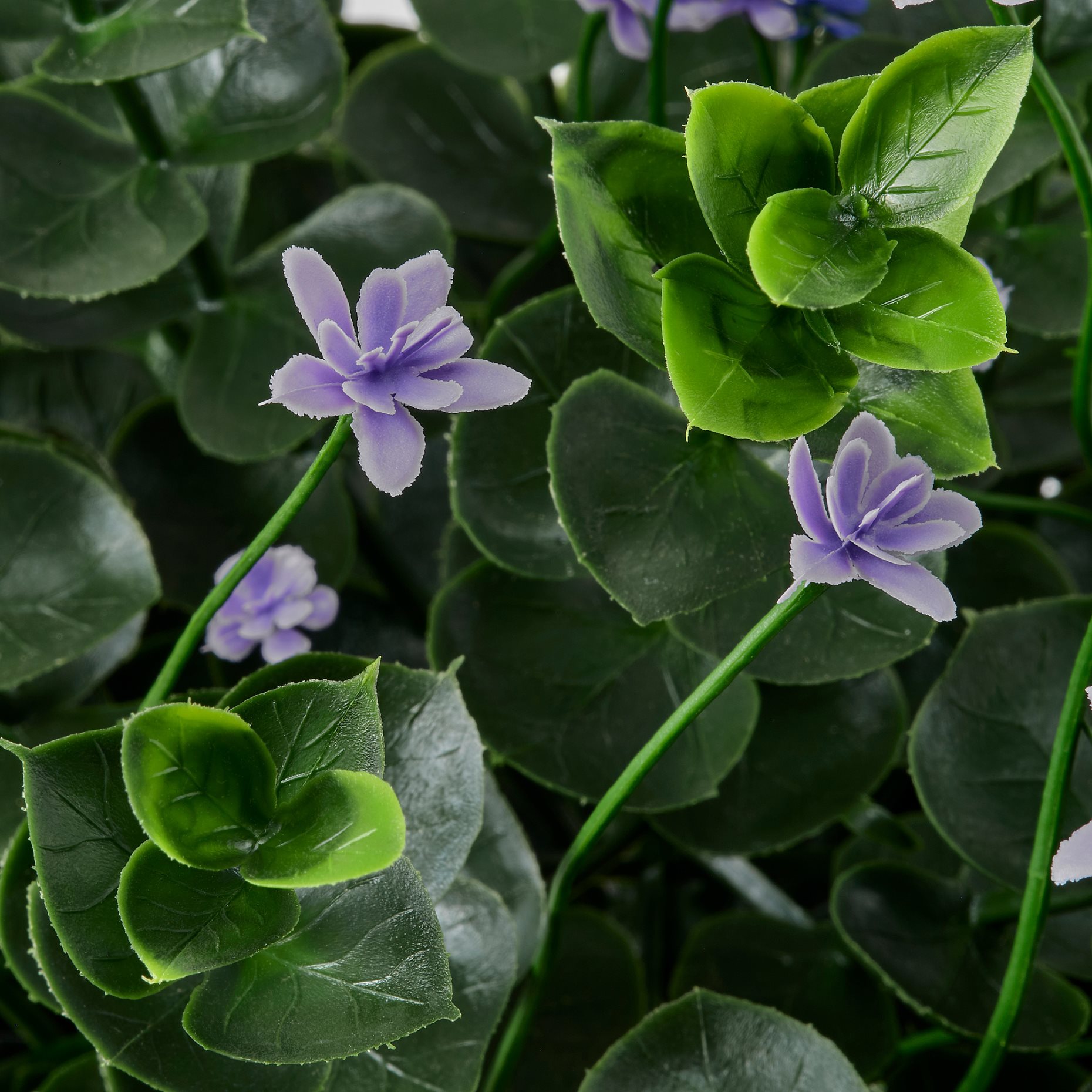 FEJKA, artificial potted plant in/outdoor, 12 cm, 806.132.51