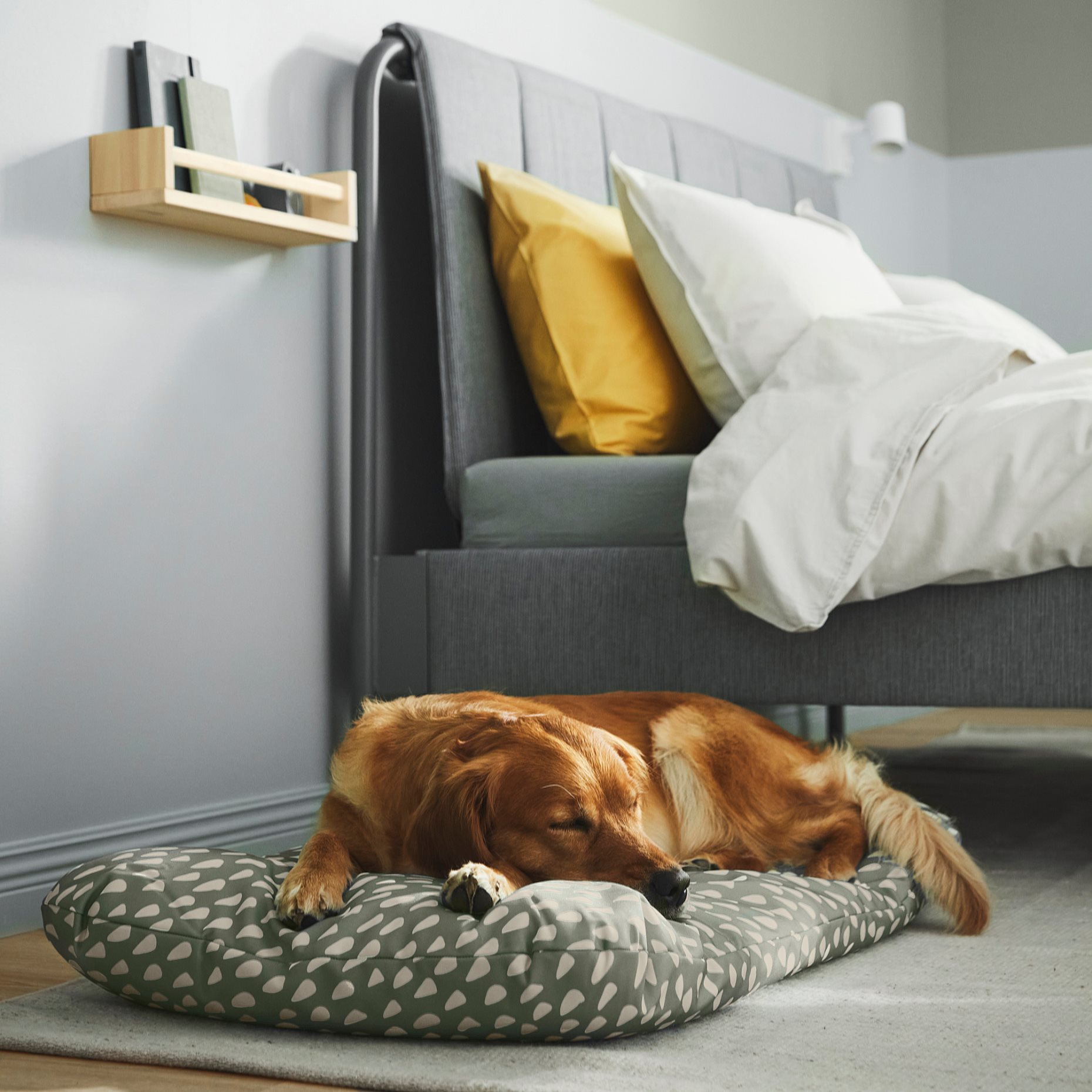 UTSADD, pet cushion, 64x102 cm, 806.236.79