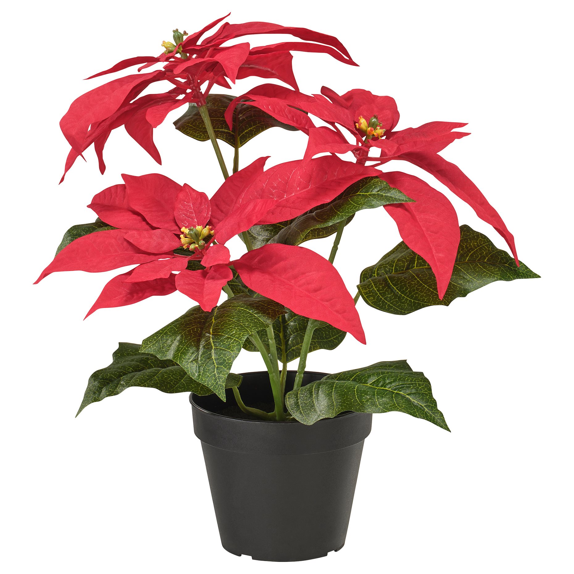 VINTERFINT, artificial potted plant in/outdoor Poinsettia, 12 cm, 905.869.16