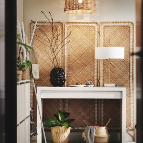 Display Image