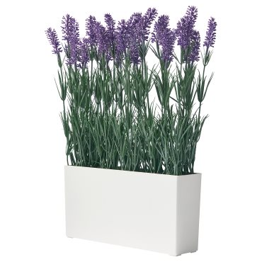 FEJKA, artificial potted plant with pot/in/outdoor Lavender, 005.863.55