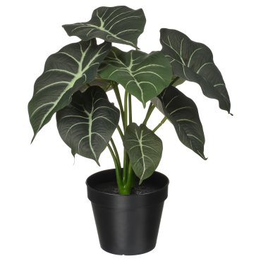 FEJKA, artificial potted plant in/outdoor Alocasia, 12 cm, 006.008.70