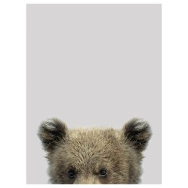 PJÄTTERYD, picture/Peekaboo, 30x40 cm, 205.331.63