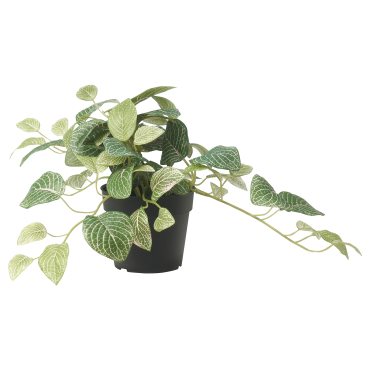 FEJKA, artificial potted plant/in/outdoor mosaic plant/hanging, 9 cm, 405.716.77