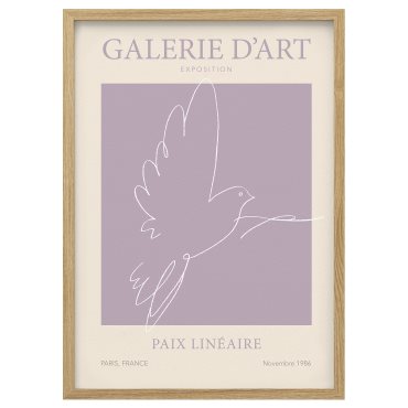 RODALM, κορνίζα με πόστερ/περιστέρι ειρήνης, 50x70 cm, 405.835.57