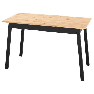 PINNTORP, table, 125x75 cm, 406.392.67