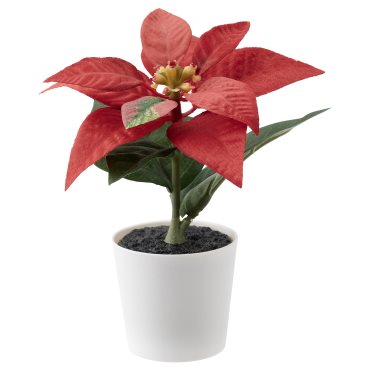 FEJKA, artificial potted plant/in/outdoor/Poinsettia, 6 cm, 505.228.51