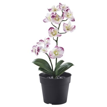 FEJKA, artificial potted plant in/outdoor/Orchid, 9 cm, 505.932.16