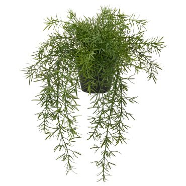 FEJKA, artificial potted plant in/outdoor Asparagus/hanging, 12 cm, 505.932.40