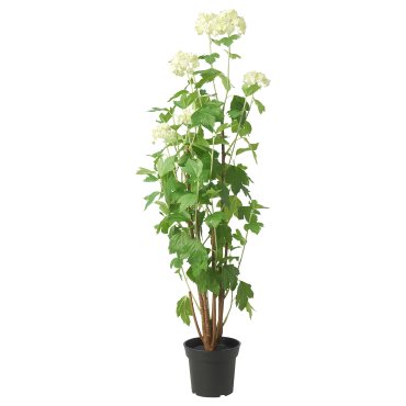 FEJKA, artificial potted plant/in/outdoor snowball, 15 cm, 605.716.95