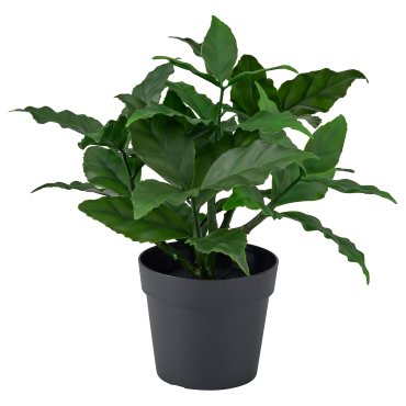 FEJKA, artificial potted plant in/outdoor/sweet bay, 9 cm, 606.107.48