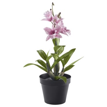FEJKA, artificial potted plant in/outdoor/Noble Dendrobium, 12 cm, 705.932.20