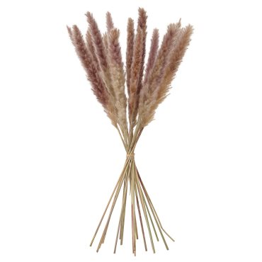 TORKA, dried plants/bunch/reed, 70 cm, 706.381.29