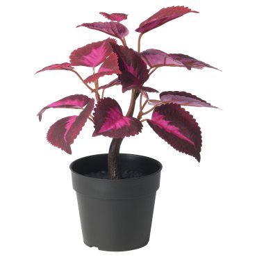 FEJKA, artificial potted plant in/outdoor/Painted nettle, 9 cm, 806.014.70