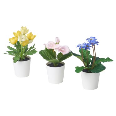 FEJKA, artifi potted plant with pot/in/outdoor/set of 3, 6 cm, 905.716.70