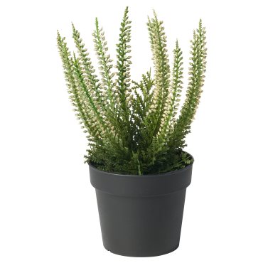 FEJKA, artificial potted plant in/outdoor/Heather, 9 cm, 906.017.14