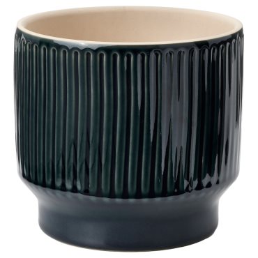 HONUNGSPALM, plant pot in/outdoor, 12 cm, 906.413.43