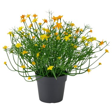 FEJKA, artificial potted plant in/outdoor, 9 cm, 206.133.53