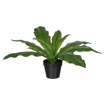 FEJKA, artificial potted plant in/outdoor/Crocodile fern, 12 cm, 406.008.73