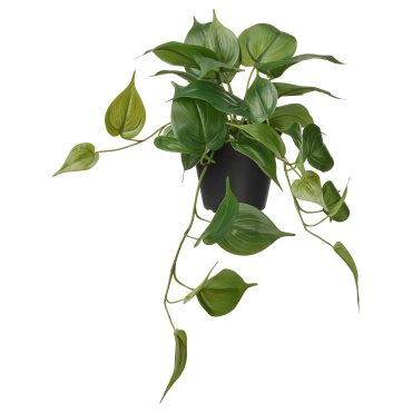 FEJKA, artificial potted plant in/outdoor hanging/Golden Pothos, 12 cm, 406.152.71