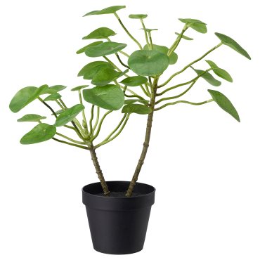 FEJKA, τεχνητό φυτό σε γλάστρα εσωτερικού/εξωτερικού χώρου/Πιλέα, 12 cm, 503.953.15