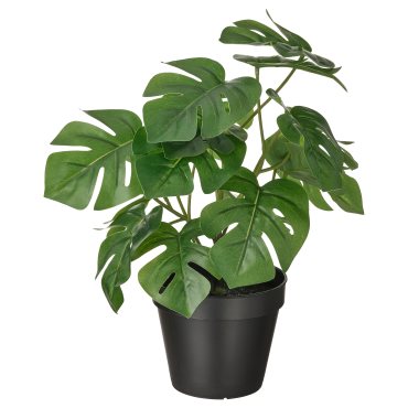 FEJKA, artificial potted plant in/outdoor/Monstera, 12 cm, 606.152.32